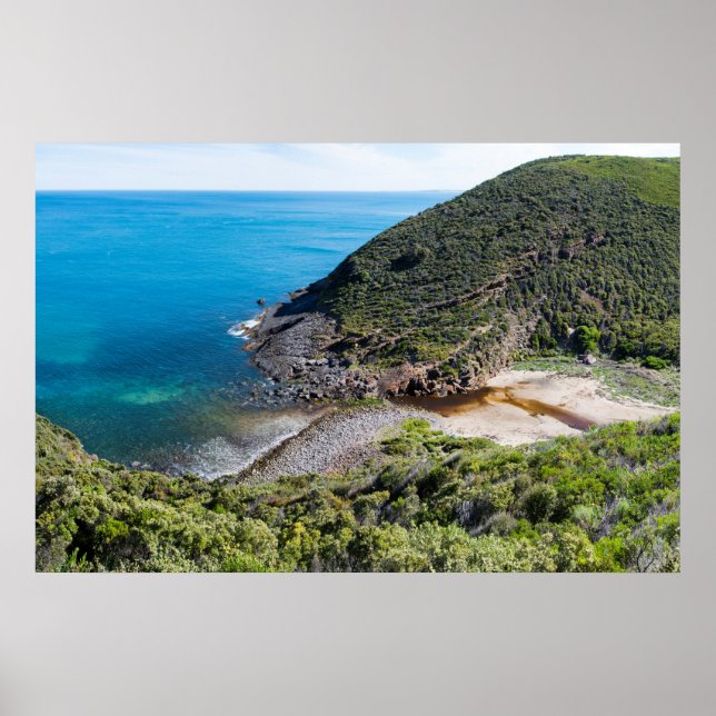 Poster Panorama de Cachorama Profundo (Frente)