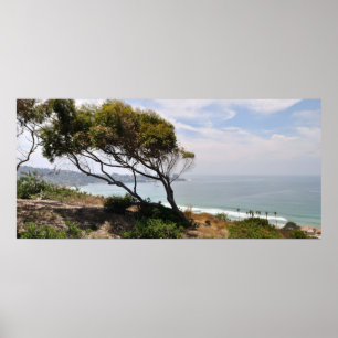 Poster Panorama do aquário do vidoeiro