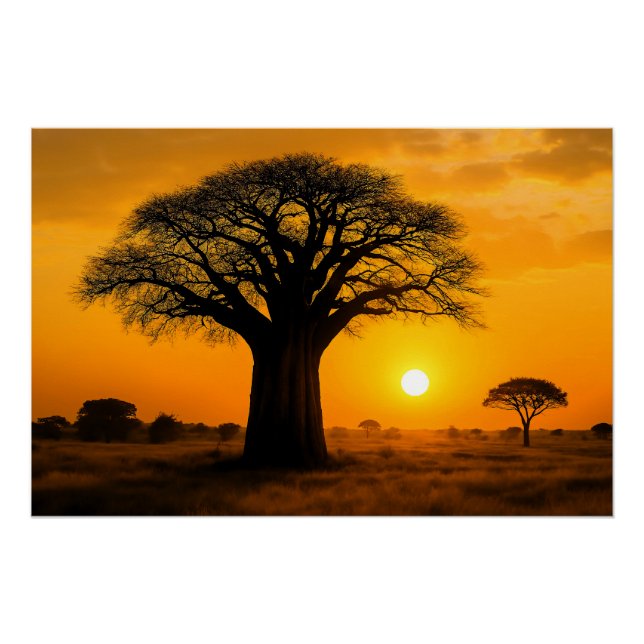 Pôster Panorama zur goldenen Stunde am Baobab-Baum (Frente)