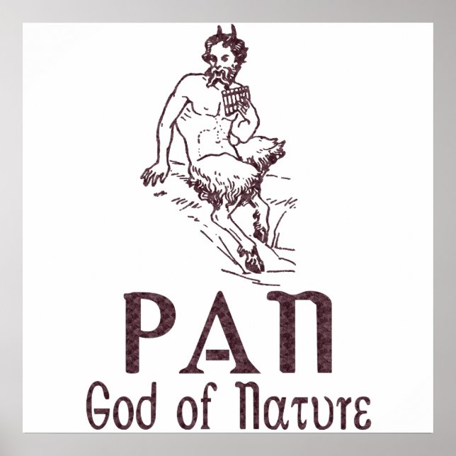 Pôster Panorâmica (Frente)