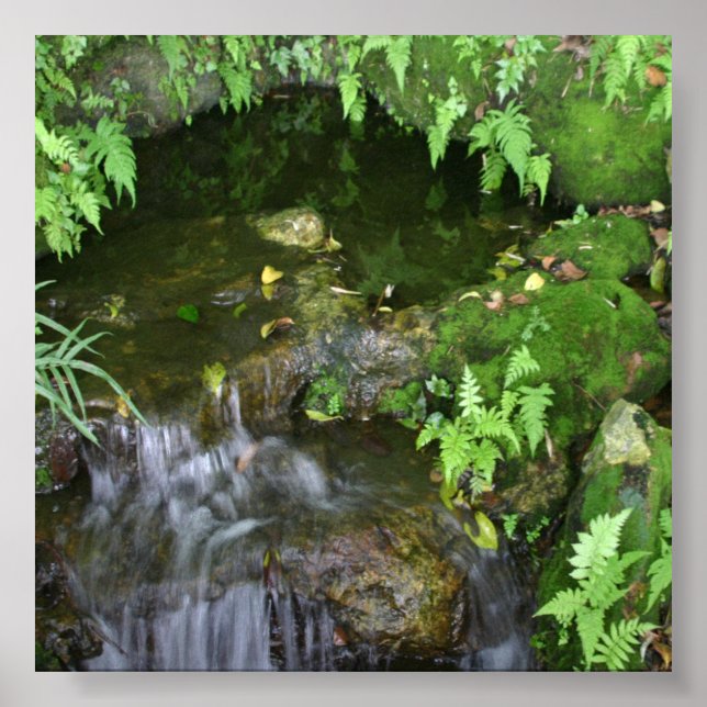 Pôster Panorâmica de Fotografias Fairy Hot Spot (Frente)