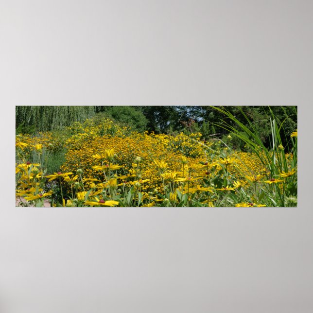 Poster Panorâmica de Prados de Flores Selvagens (Frente)