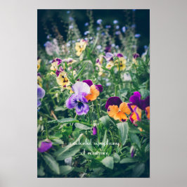 Poster Pansies coloridas em um jardim de verão no campo