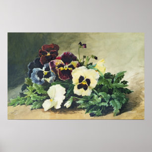 Pôster Pansies do inverno, 1884