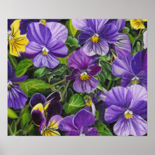 Pôster Pansies, "Pansies roxos" por Jenny Koch