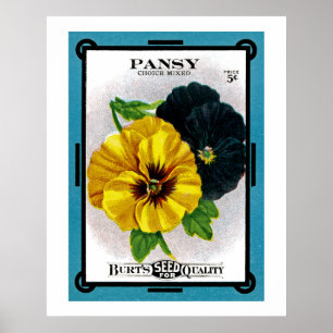 Pôster Pansy