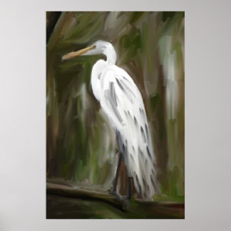 Pôster Pântano da Louisiana