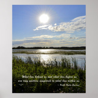 Pôster Pântano de carvalho