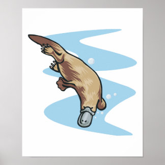 Poster pântano de natação