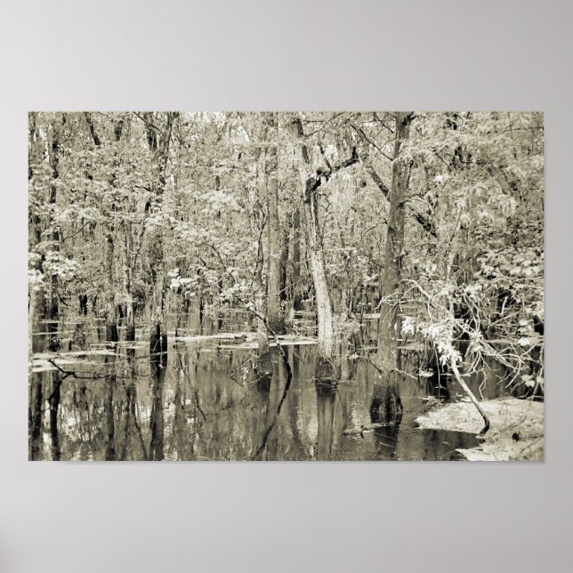 Pôster Pântano de Nova Orleans (Frente)