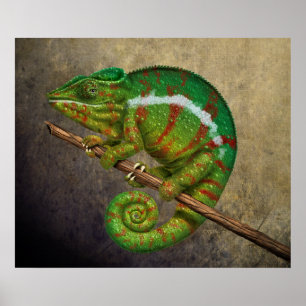Poster Panther Chameleon Digital Painting