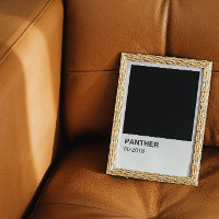 Panther Movie Black - Borda branca
