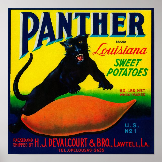 Poster Panther Yam LabelLawtell, LA (Frente)