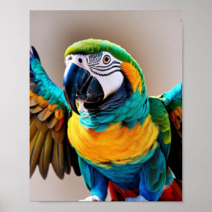 Poster Papagaio