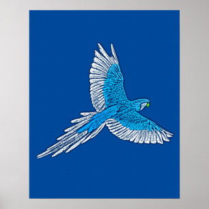 Pôster Papagaio a Voo, Azul Cobalto e Branco