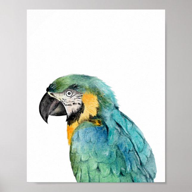 Poster Papagaio Arara Azul e Dourado Aquarela (Frente)