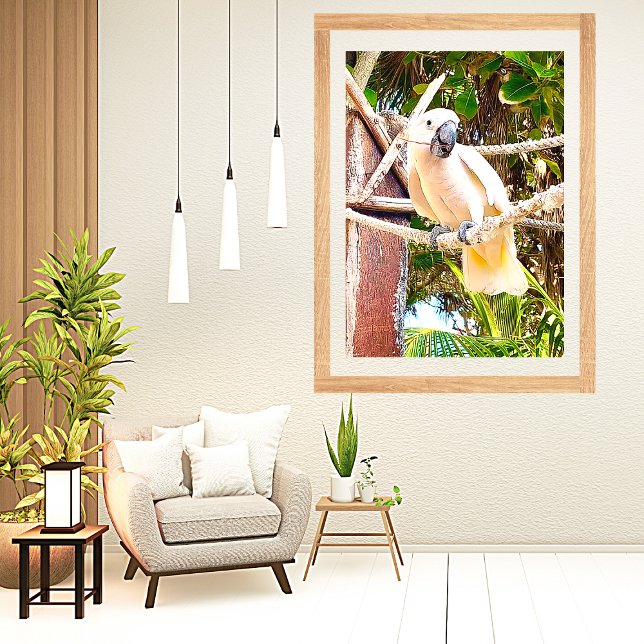 Poster Papagaio Branco Tropical Mexicana (Criador carregado)
