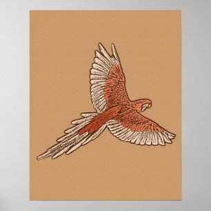 Poster Papagaio em Voo, Ferrugem, Cream e Camel Tan