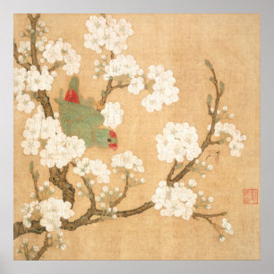 Poster Papagaio Oriental Chinês E Flores De Pera
