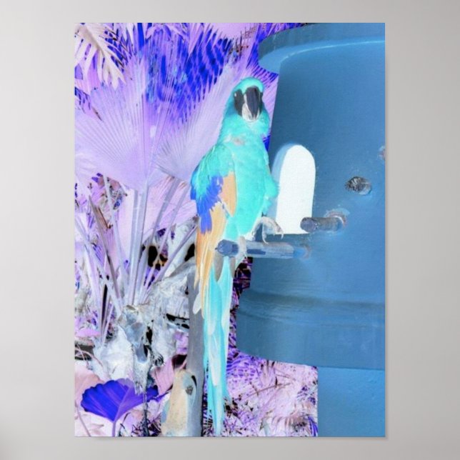 Poster Papagaio Pop Art (Frente)