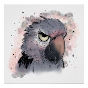 Pôster Papagaio Psittacus Mal-humorado