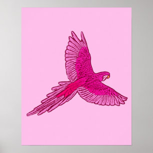 Poster Papagaio rosa em vôo, do fúcsia e do gelo