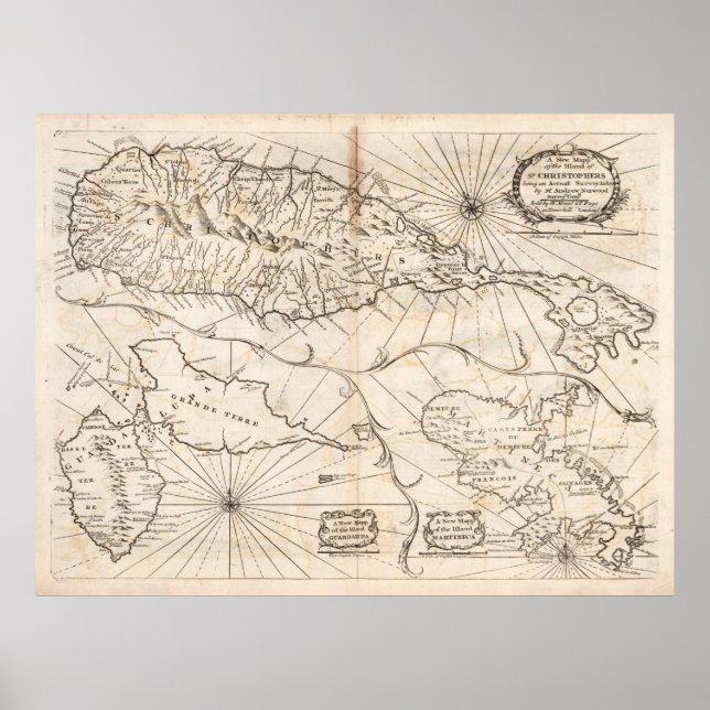 Poster Papagaio Velho das Ruas, Guadalupe e Martinica (17 (Frente)