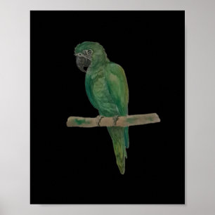 Poster Papagaio Verde Vibrante – Arte em Aquarela Pintada
