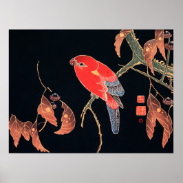 Poster Papagaio Vermelho na Ramificação da Árvore por Ito