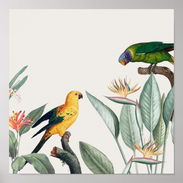 Poster Papagaios (Frente)