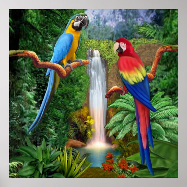 Poster Papagaios Araras Tropicais (Frente)