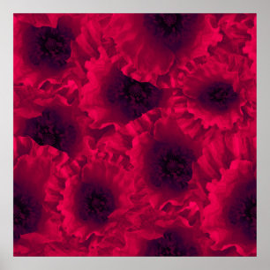 Poster Papagaios vermelhos
