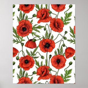 Poster Papagaios, vermelhos e verdes em branco