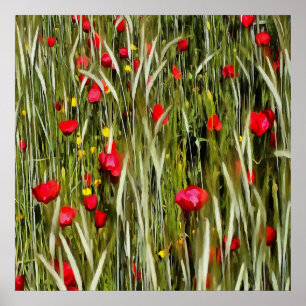 Pôster Papagaios Vermelhos Numa Pintura De Roda