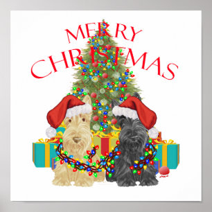 Pôster Papais noeis