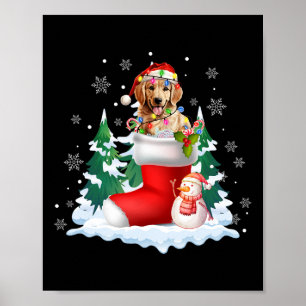 Poster Papais noeis Bonitos Retriever Ouro No Cachorro De