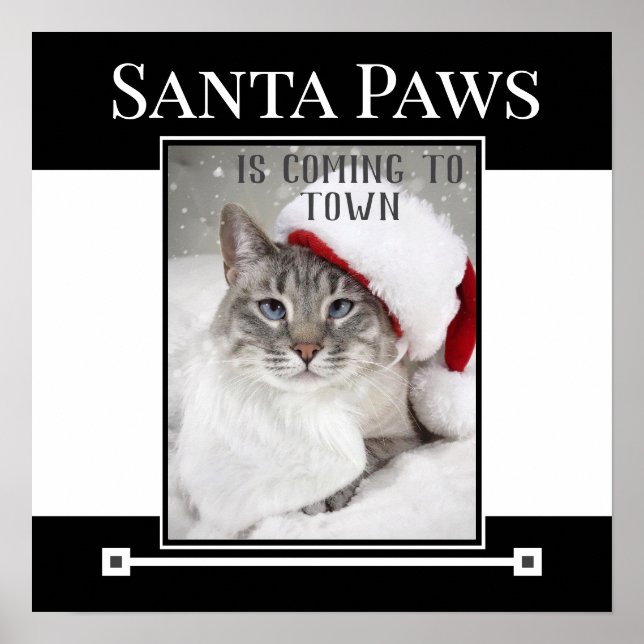 Poster Papais noeis Paws Estão Chegando Ao Natal Da Cidad (Frente)