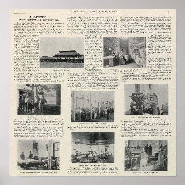 Pôster Papais noeis Rosa, Califórnia (Frente)