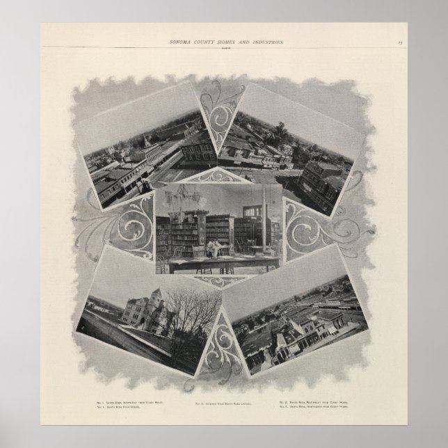 Poster Papais noeis Rosa, Califórnia 6 (Frente)