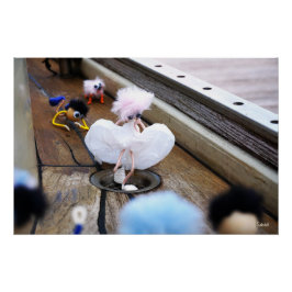 Pôster Paparazzi bij Fubby op rooster.