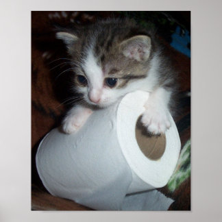 Pôster Papel de cozinha