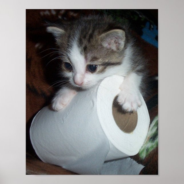 Pôster Papel de cozinha (Frente)