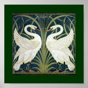 Pôster Papel de parede da cisne e da precipitação e da