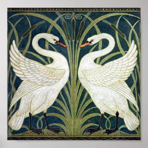Pôster Papel de parede Swan e Rush e Iris