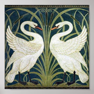 Pôster Papel de parede Swan e Rush e Iris