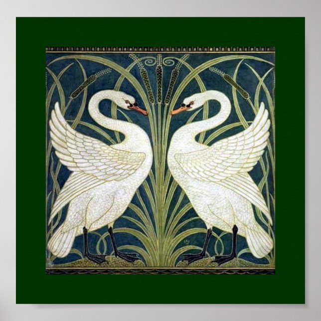 Pôster Papel de parede Swan e Rush e Iris (Frente)