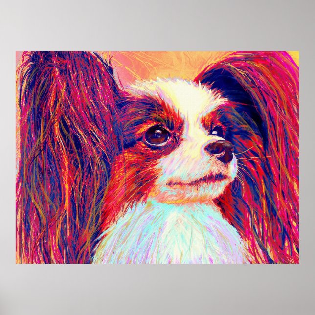 Poster papilão 2 (Frente)