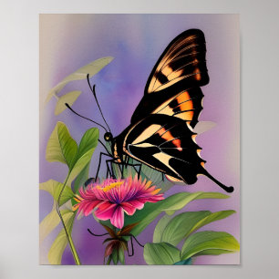 Poster Papilio Ulysses Butterfly Triptych