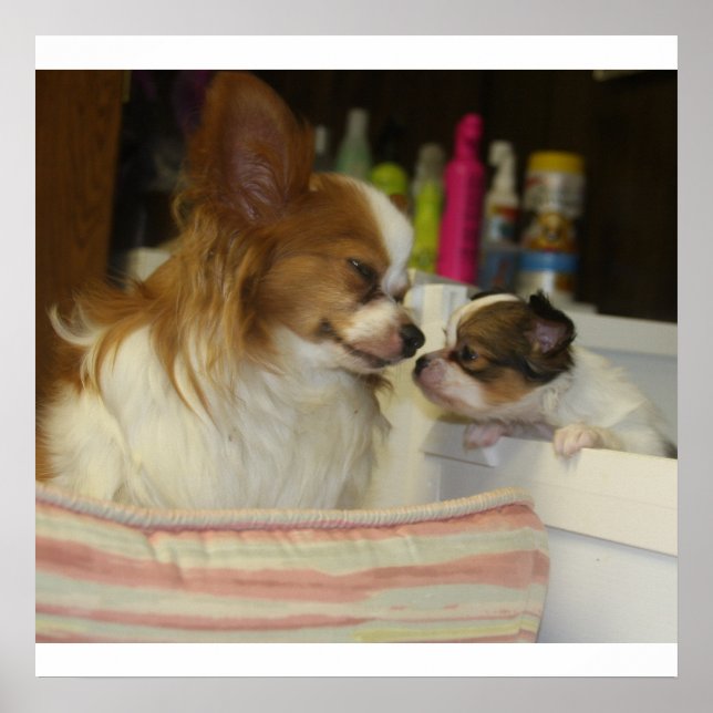 Pôster Papillon Mãe e Bebê (Frente)