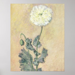 Pôster Papoila branca de Claude Monet  , 1883